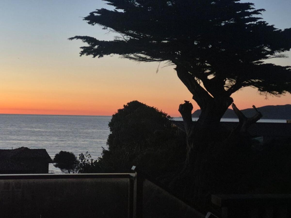 Raumati South Beach Studio 帕拉帕拉乌穆 外观 照片