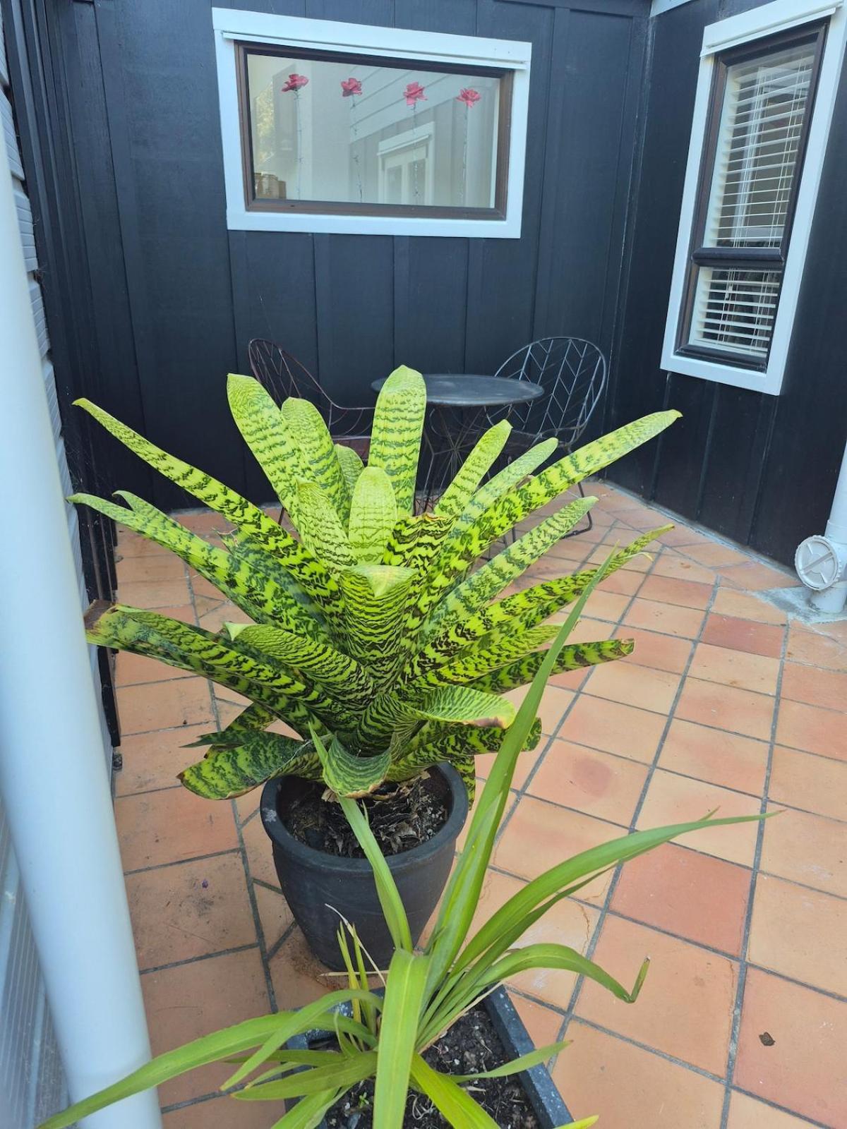Raumati South Beach Studio 帕拉帕拉乌穆 外观 照片